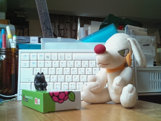 test47.jpg